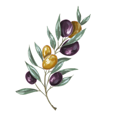 Decorative olive branch displayed by the testimonials
